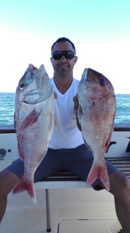 Algarve Red Snappers.jpg Algarve Red Snappers.jpg